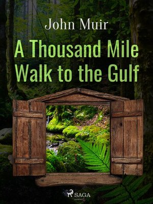cover image of A Thousand Mile Walk to the Gulf